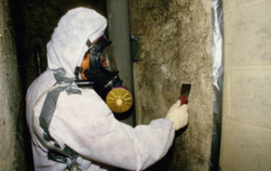 asbestos technician